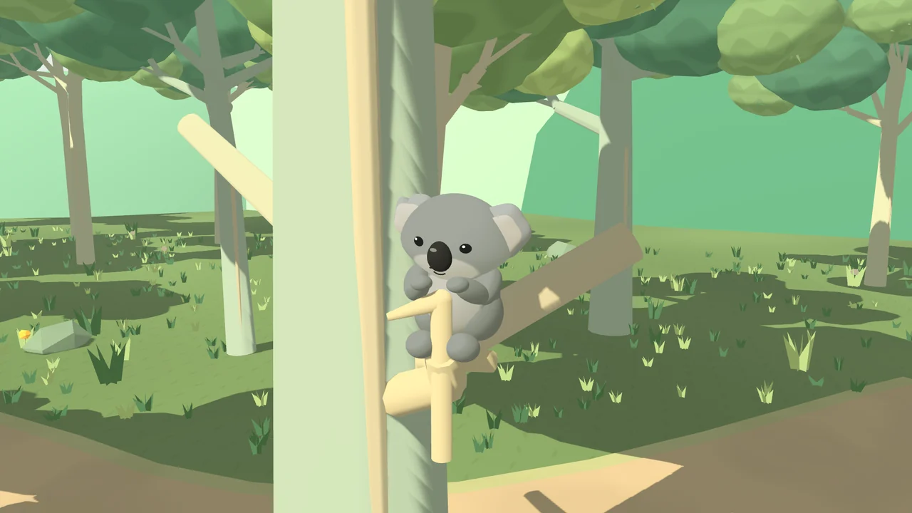 A recovered koala returns to a tree in its woodland home